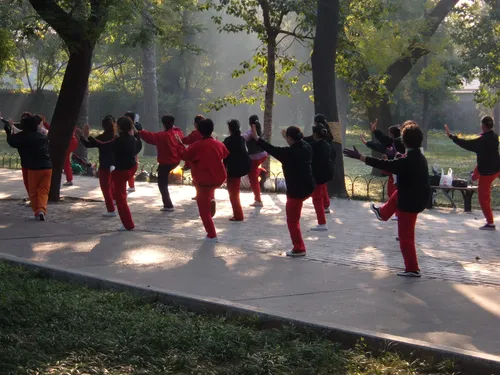 A group of locals practicing tai chi outdoors in a tree-lined path at Temple of Heaven Park in Beijing, backlit by morning sun