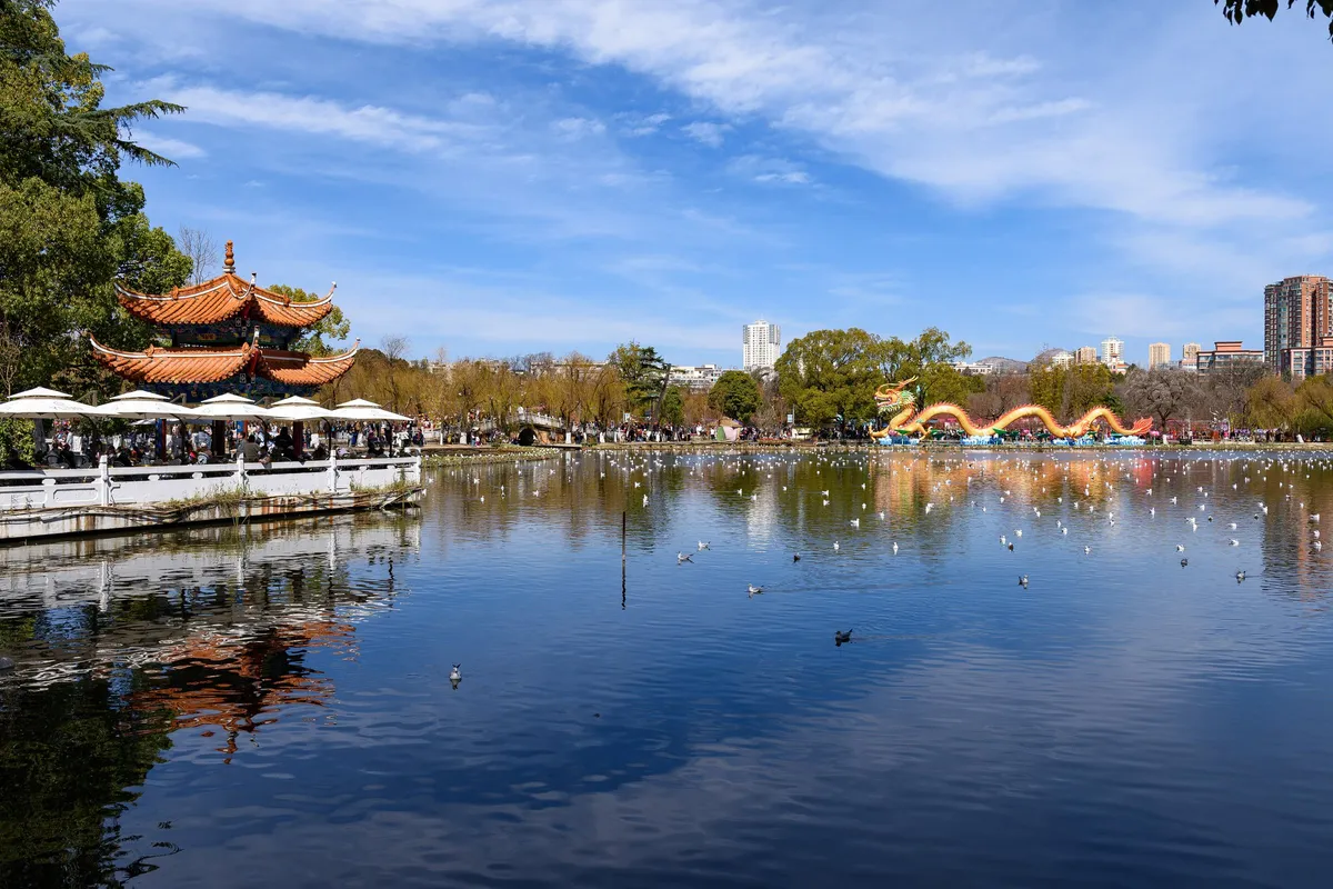A traditional pavilion beside Green Lake in Kunming, with gulls on the water and a lantern dragon display in the background
