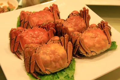 Steamed hairy crabs served on a platter with lettuce leaves