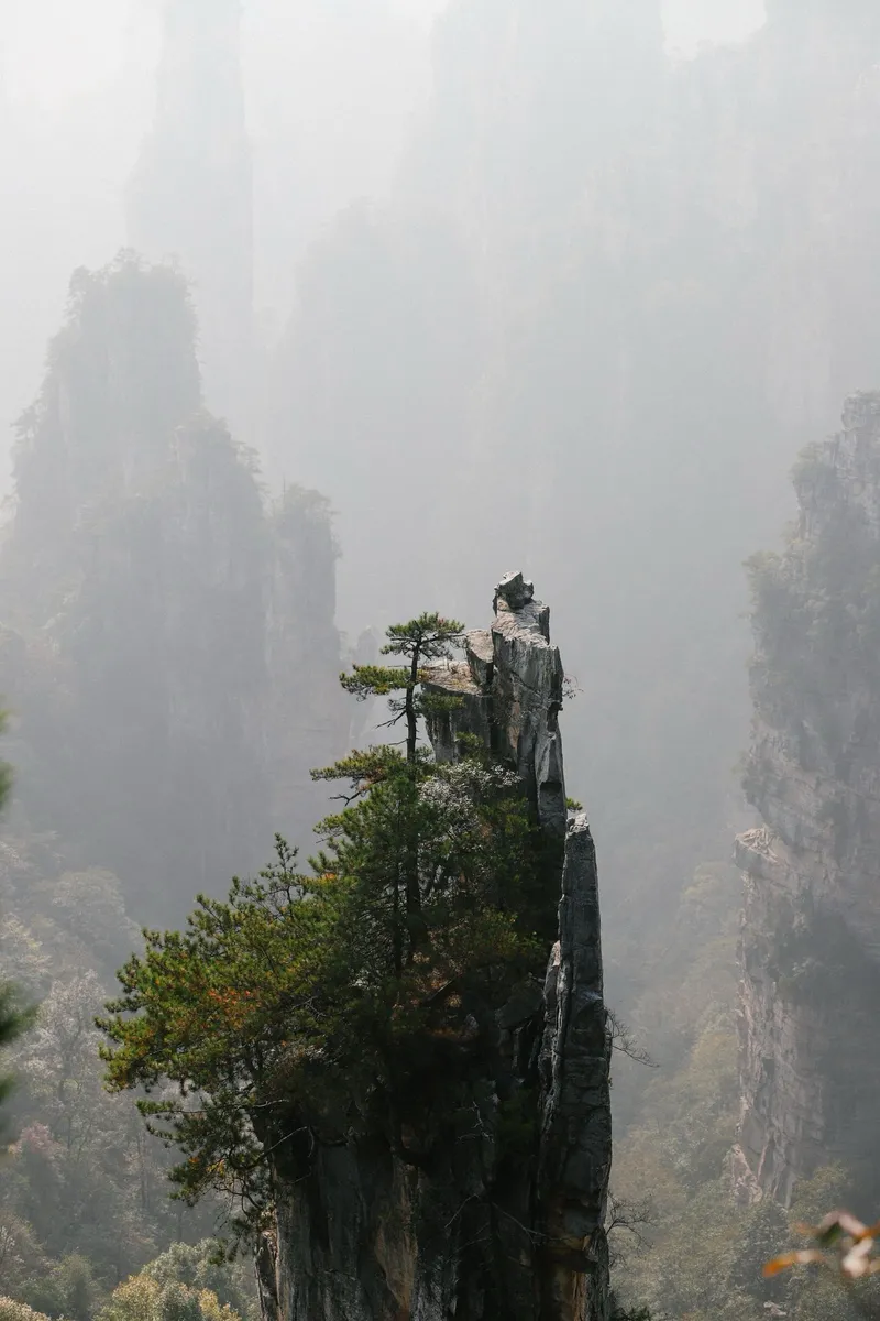 A misty sandstone pillar topped with pines at Yuanjiajie, Zhangjiajie