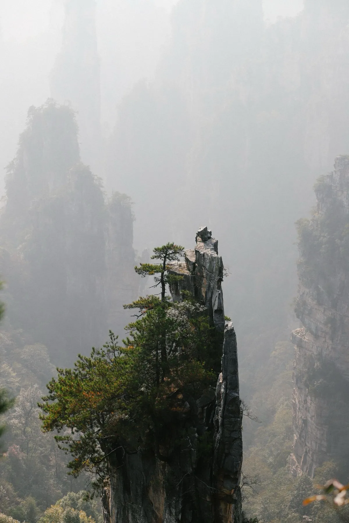 A misty sandstone pillar topped with pines at Yuanjiajie, with hazy peaks receding behind it