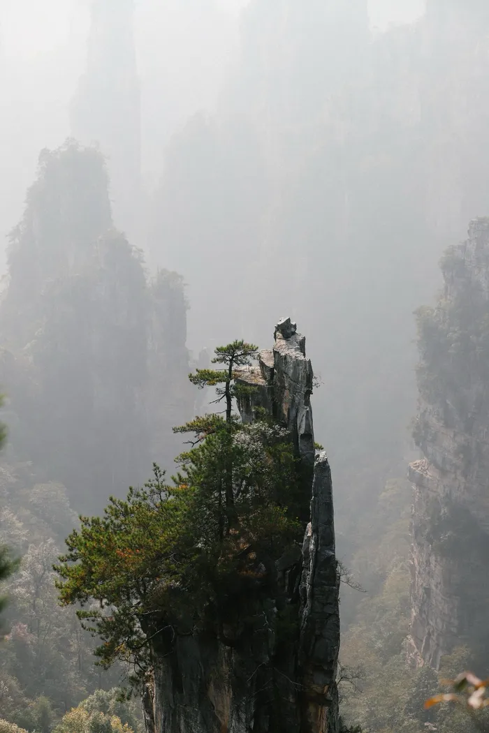 A misty sandstone pillar topped with pines at Yuanjiajie, with hazy peaks receding behind it