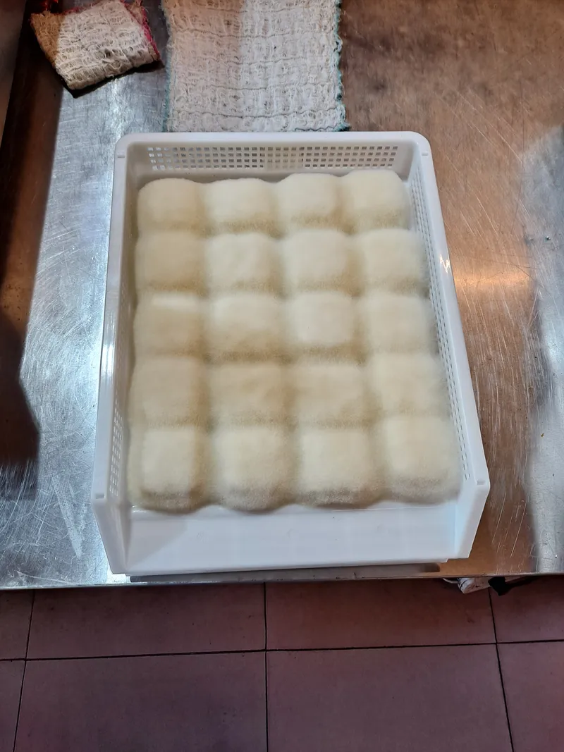 A tray of hairy tofu squares covered in their characteristic coat of fine white fermentation mold