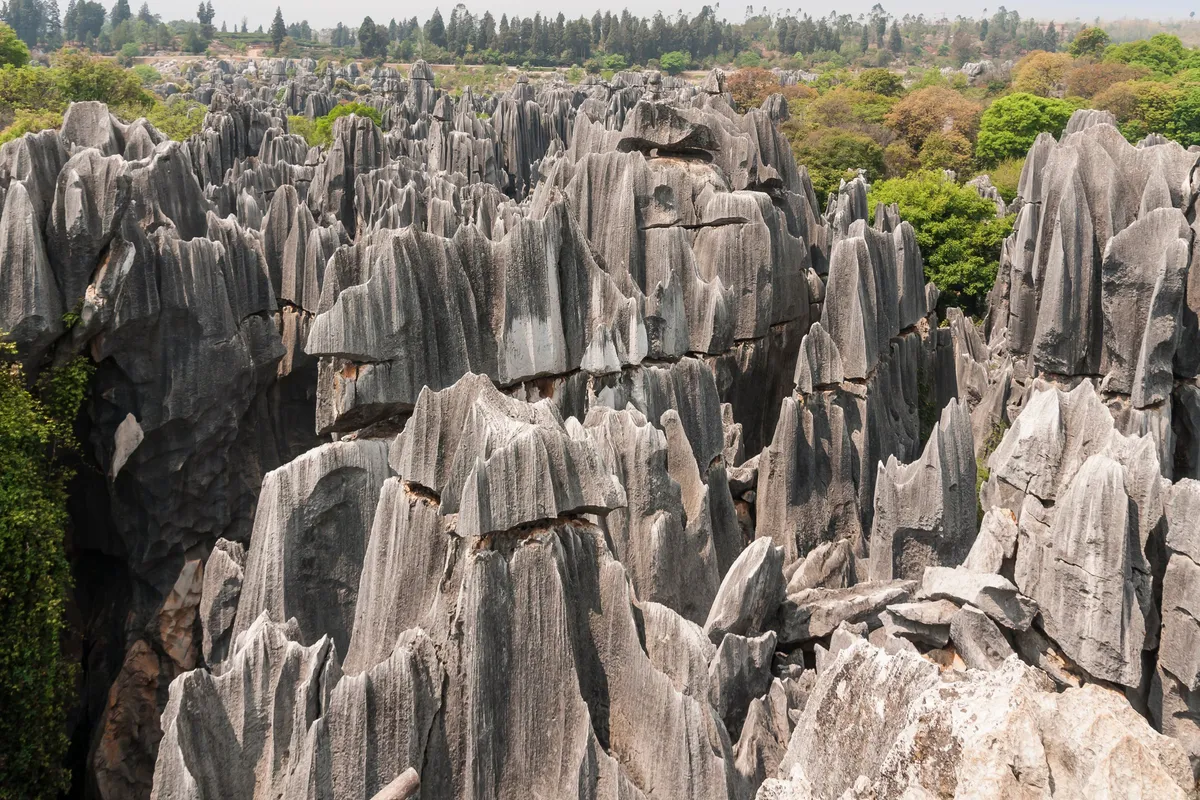 Rows of jagged grey limestone pillars rising from the ground at Shilin Stone Forest, Yunnan