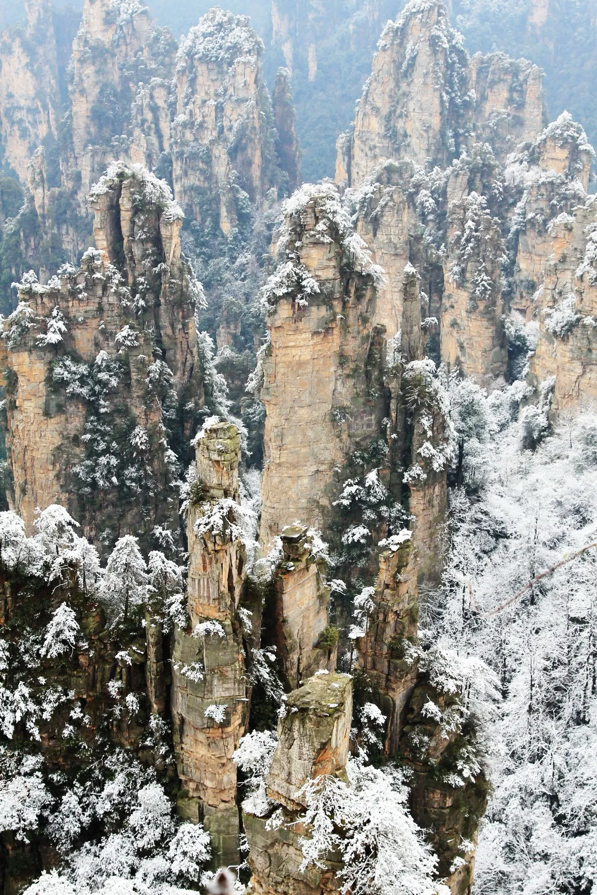 Snow-covered sandstone pillars of Tianzi Mountain rising through winter mist