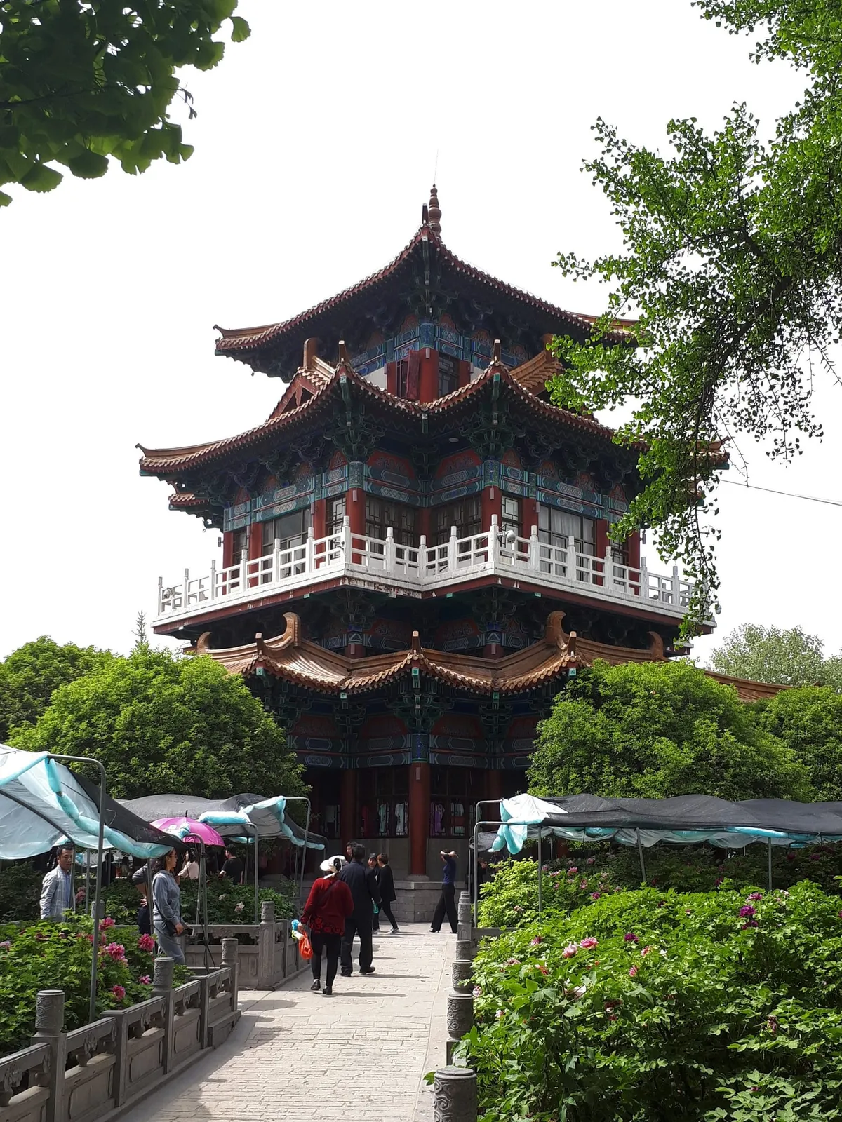 A traditional pavilion overlooking peony flower beds in Wangcheng Park, Luoyang