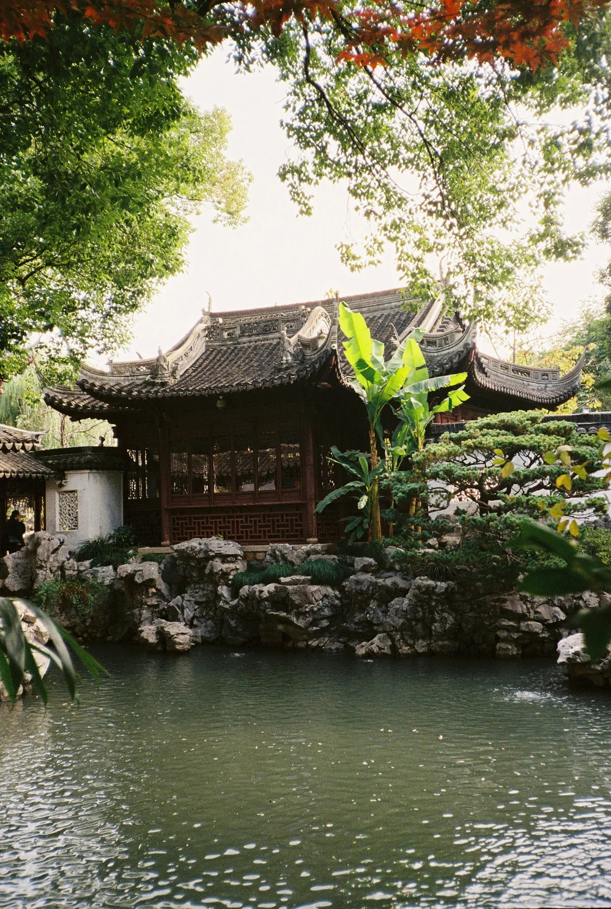A classical pavilion and pond in the Yu Garden, Shanghai's old town